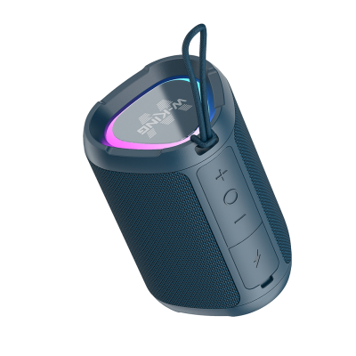 اسپیکر بلوتوث دبلیو کینگ مدل D110